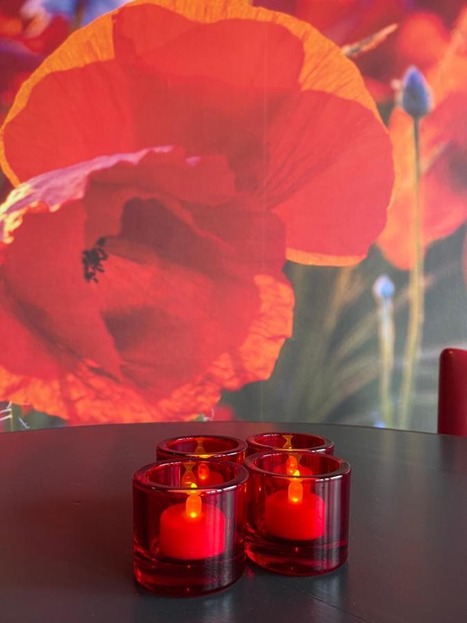 Achterhoeks Goed, Bed & Breakfast In Vragender Luaran gambar